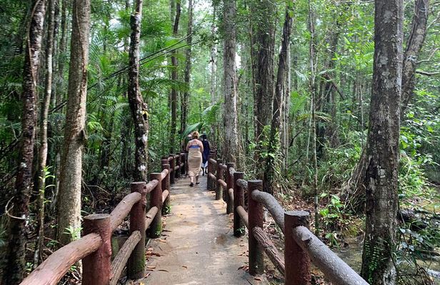 All day Krabi Jungle Tour (Hot Spring Water, Emerald Pool, Tiger Cave Temple) 