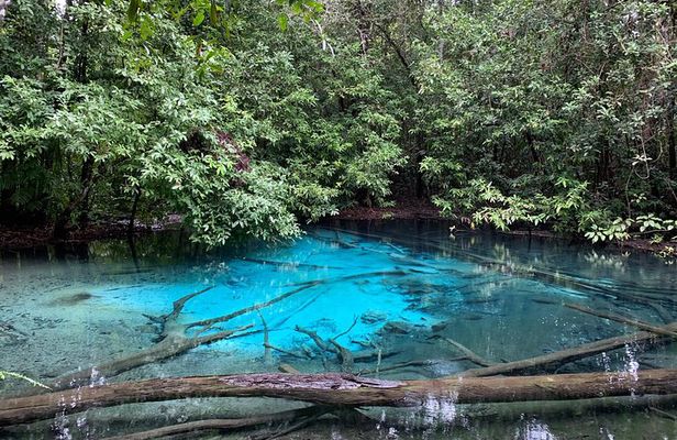 All day Krabi Jungle Tour (Hot Spring Water, Emerald Pool, Tiger Cave Temple) 