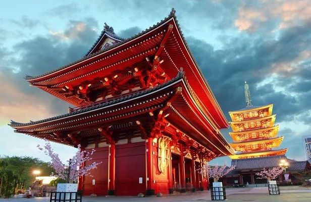 Tokyo Private Tour with Native Japanese Driver
