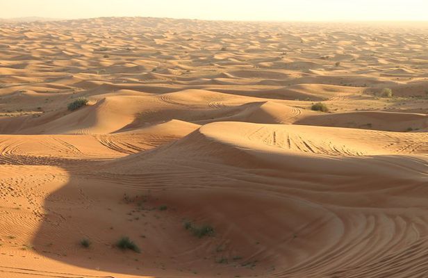 Morning Desert Safari on Red Dunes with Sand Boarding & Optional Quad Biking