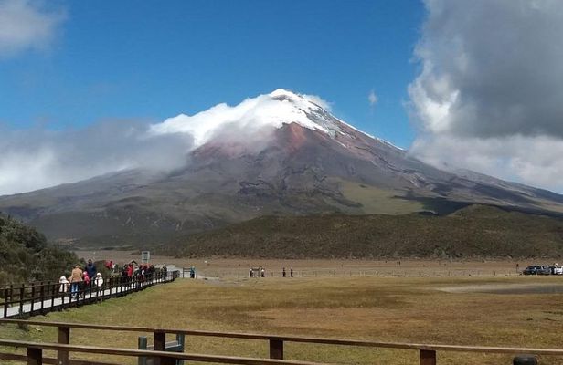 Excursion to Cotopaxi National Park and Limpiopungo Lagoon