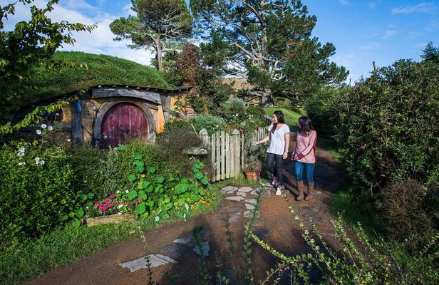 Hobbiton Movie Set Group Tour Early Access (Avoid the crowds!)