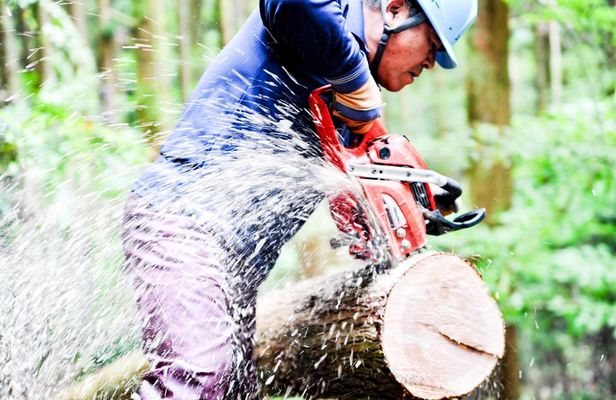 Rural Forestry Tour in Aso Minamioguni