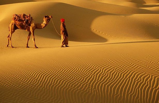 Abu Dhabi 4x4 Desert Safari BBQ Dinner , Camel Ride , Belly Dance