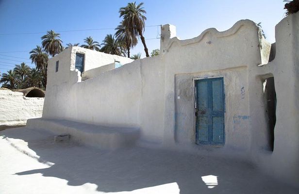 Private Aswan Tour : Nubian Village and Felucca ride