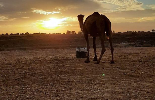 Atlas Mountains And Camel Ride Day Trip From Marrakech