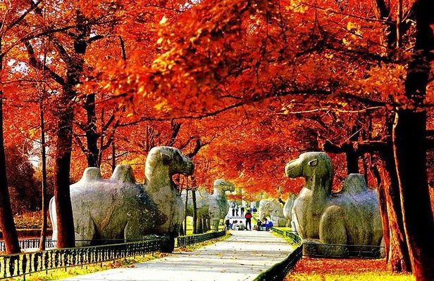 Half-Day Nanjing Purple Mountain Private Tour in Your Way