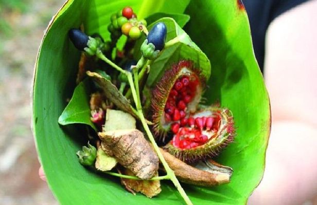 Spice Tour & Cooking Class in Zanzibar