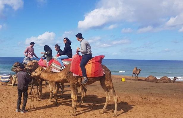 Tangier : Guided City Tour Around Main Points of Interest