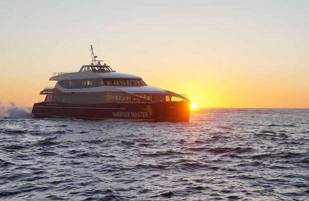 Afternoon Gordon River Dinner Cruise