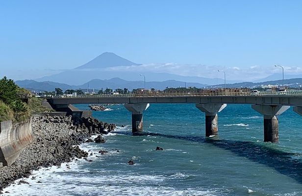 Guided Hybrid Bike Tour in Shizuoka City (Note: not e-bikes)