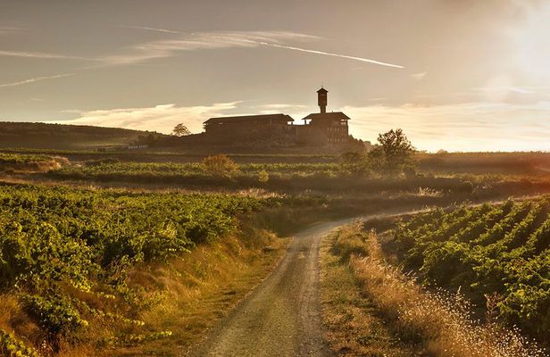 Rioja wine tour: winery & Laguardia with lunch from Vitoria 