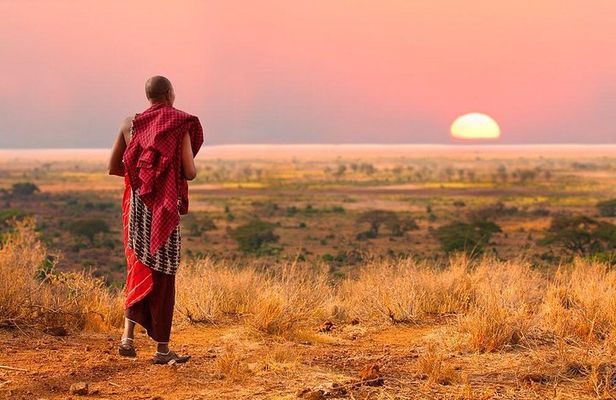 2 days Mid Range Safari in Ngorongoro and Tarangire Big 5 Parks