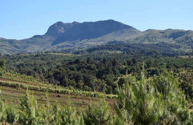 Scenic Day Trip to Aberdares National Park