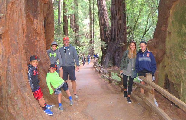 Half-Day Private Tour of Alcatraz , Muir Woods & Sausalito