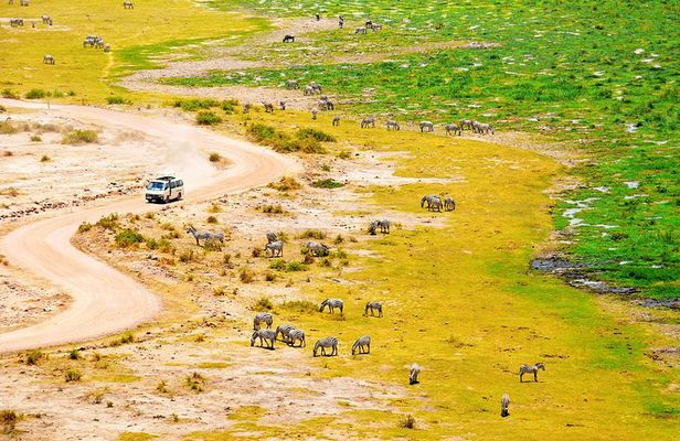 2 Days Amboseli Getaway Trip