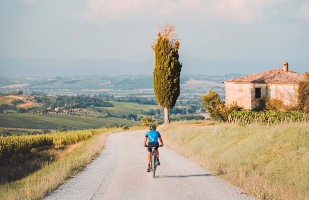 3-Hour Bike Tour and Wine in Tuscany: Nobile's Path