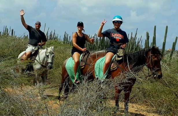 Aruba Countryside: Horseback Adventure to Urirama Cove