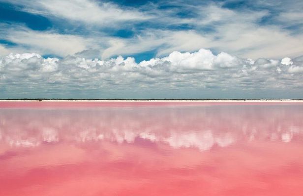 Tour to Las Coloradas Pink Waters and Boat Ride in Rio Lagartos with Lunch.