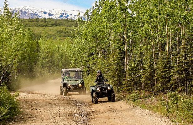 2.5-Hour Denali Wilderness ATV Adventure Tour