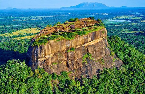 Sigiriya Hike & Minneriya Park safari Private Day Tour.