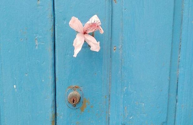 Explore Isla Mujeres: A Customized Private Experience