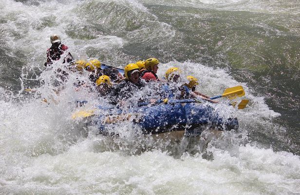 River Nile White Water Rafting Adventure 1 Day Tour