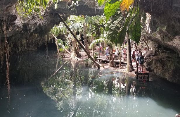 Tours On The Island Cozumel