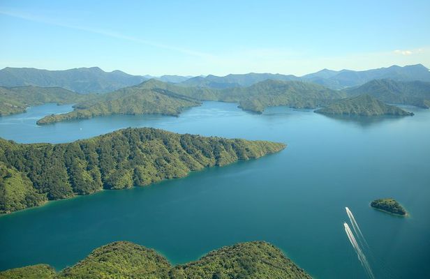Bays and Bush Flight Scenic Tour