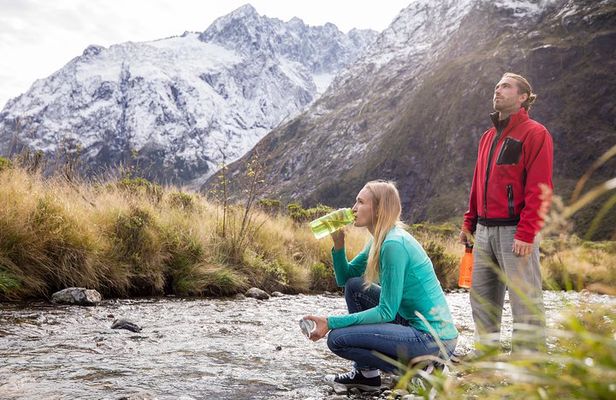 Milford Sound Coach & Cruise ex Te Anau Stunning Views with Lunch