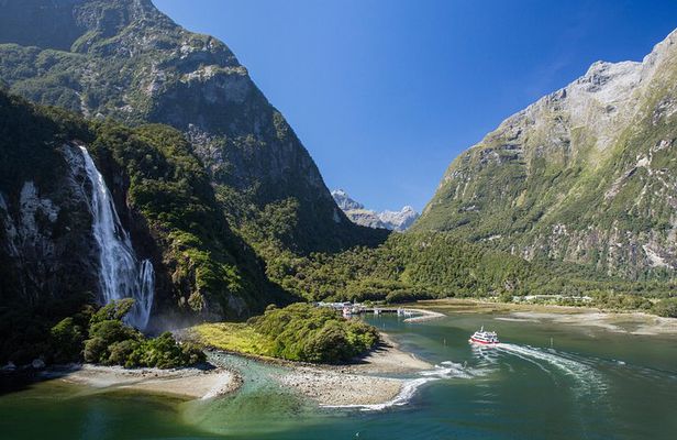 Milford Sound Nature Cruise with Southern Discoveries