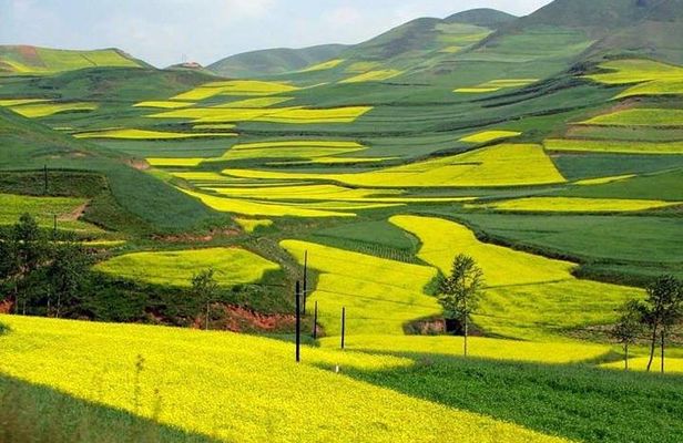 4-Day Tour to Yangshuo Li River Cruise & Longsheng Rice Terraces