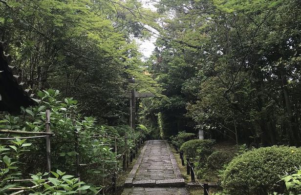 Kyoto: The Path Less Traveled (Private)