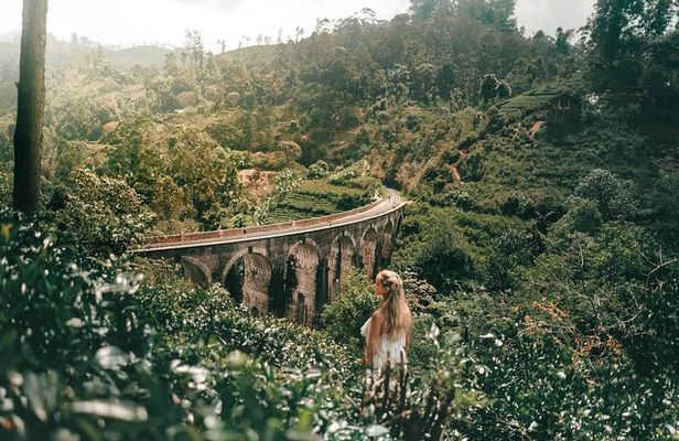 Nine Arch Bridge, Ella Rock and Little Adam's Peak Day Tour with Lunch