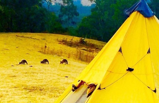 Blue Mountains Into The Wild Overnight Camping 4WD Off Road Wilderness Adventure
