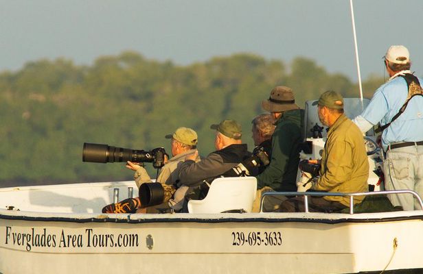 Two-Hour Everglades National Park Dolphin, Birding and Wildlife Boat Tour