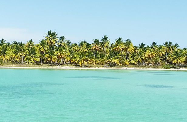 Saona for Cruiseship passengers