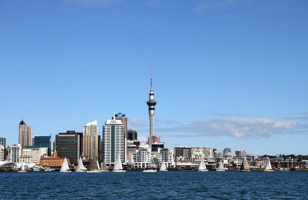 Private Auckland City Tour For Small Group in a luxury vehicle.