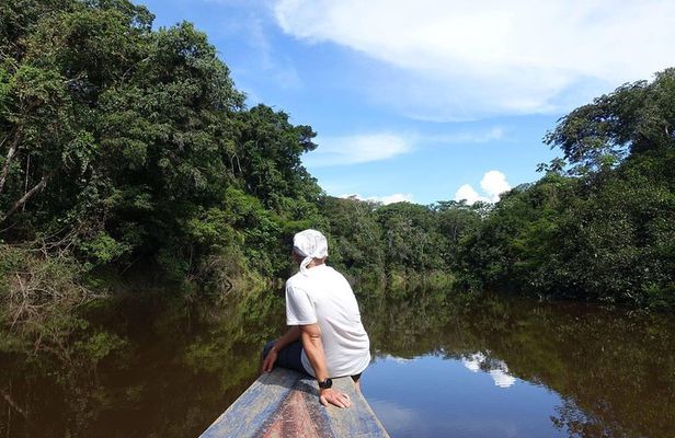 Amazon jungle expedition 4/ Days 3/ Nights 600 usd
