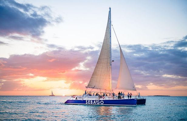 Key West Sunset Sail: Dolphin Watching, Wine, and Tapas