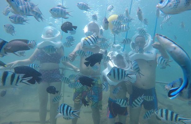Cham Island Sea Trek and Snorkeling by Speedboat