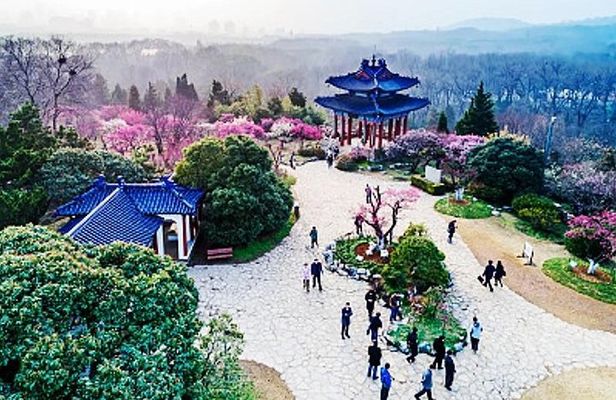 Private In-Depth Day Tour of Nanjing Purple Mountain with Lunch