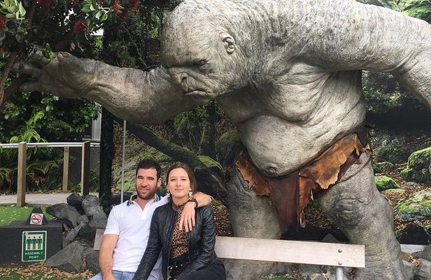 Wellington city heights sightseeing Private 5 hour tour