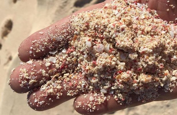 Bermuda Gems and Private Resort Beach Day Experience