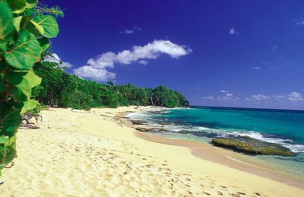 South Caribbean Tour in Martinique