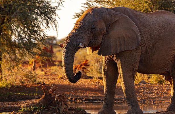 3 Days Masai Mara