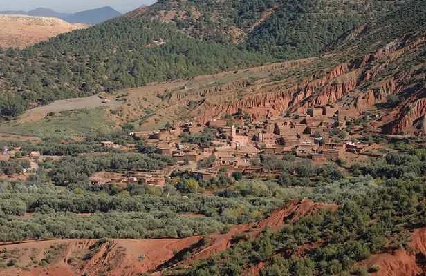 Half Day Walk in the Atlas Mountains - Unique experience 