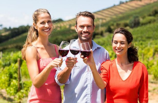 Radda in Chianti: Wine Tasting Tour with lunch at the Winery