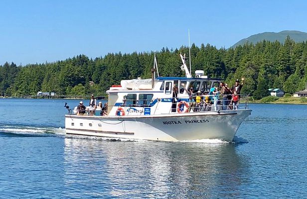 Whale watching & sightseeing tour in Ucluelet, Vancouver Island 