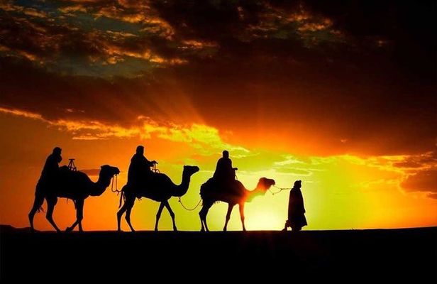 Agafay desert camel ride & sunset